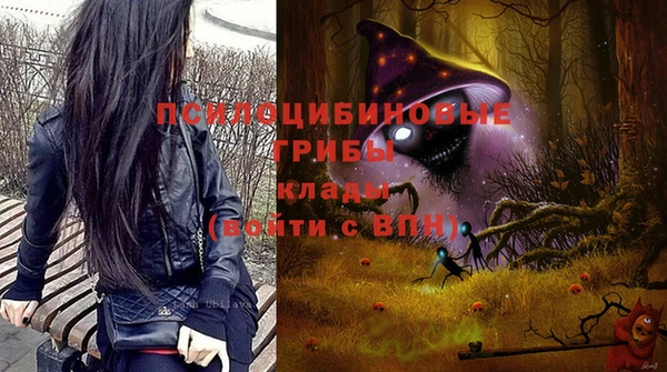 бошки Верхний Тагил