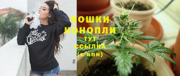 ALPHA PVP Новозыбков