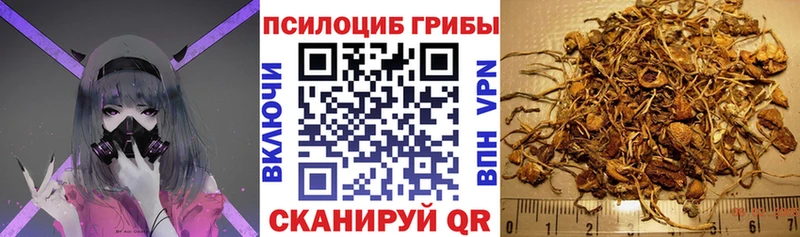 Псилоцибиновые грибы GOLDEN TEACHER  omg ссылки  Подпорожье 