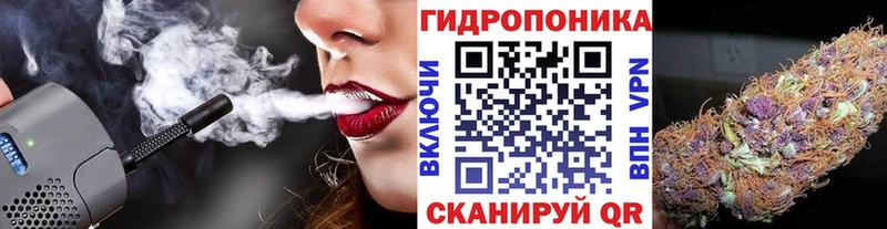 Бошки марихуана THC 21%  Подпорожье 